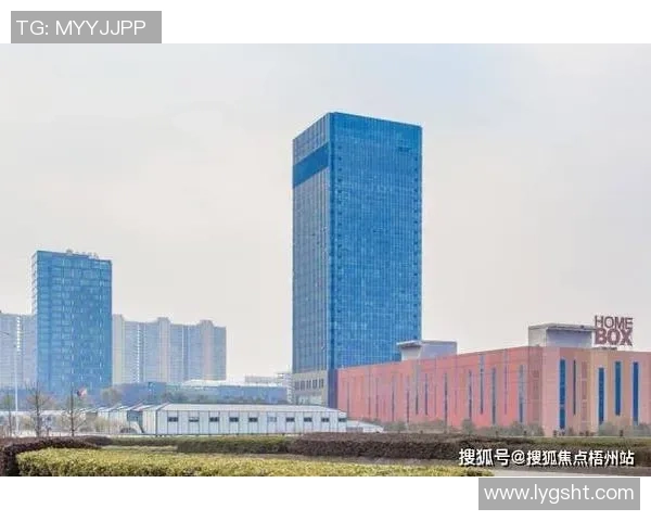 杭州网球队灵活性深度对比分析与发展潜力探讨