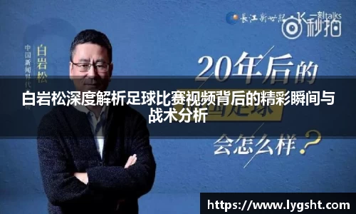 白岩松深度解析足球比赛视频背后的精彩瞬间与战术分析