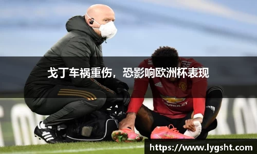 戈丁车祸重伤，恐影响欧洲杯表现