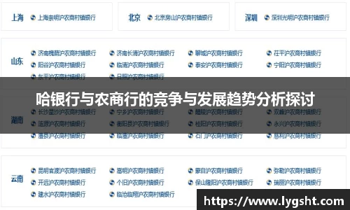哈银行与农商行的竞争与发展趋势分析探讨