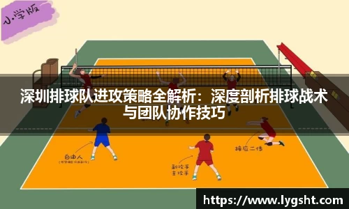 8868体育官网
